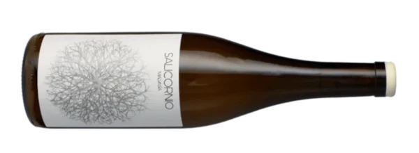 Salicornio Malvasia